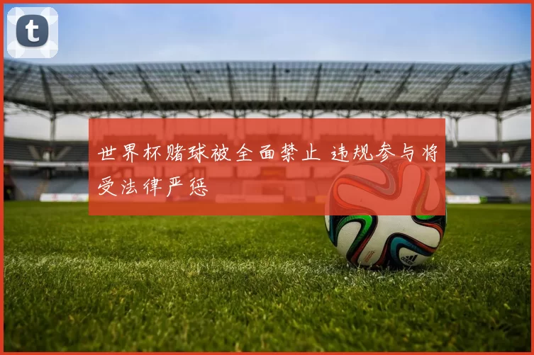 世界杯赌球被全面禁止 违规参与将受法律严惩