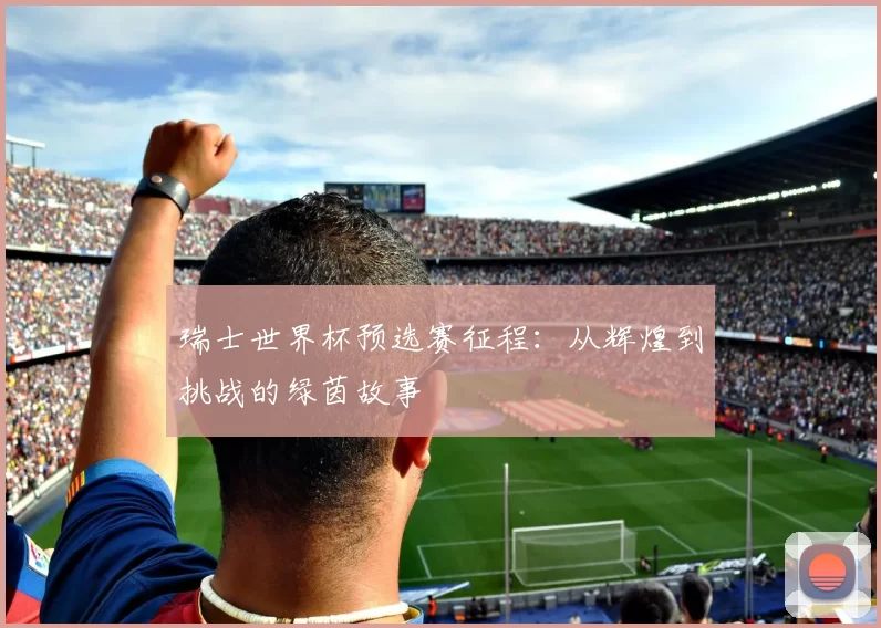 瑞士世界杯预选赛征程：从辉煌到挑战的绿茵故事