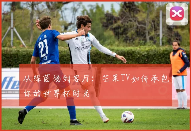 从绿茵场到客厅：芒果TV如何承包你的世界杯时光