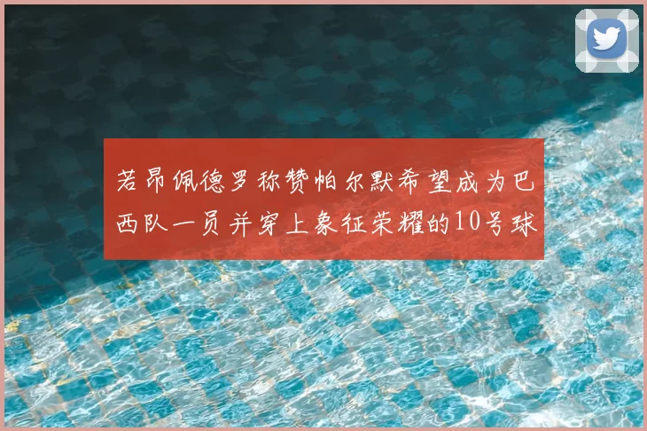 若昂佩德罗称赞帕尔默希望成为巴西队一员并穿上象征荣耀的10号球衣