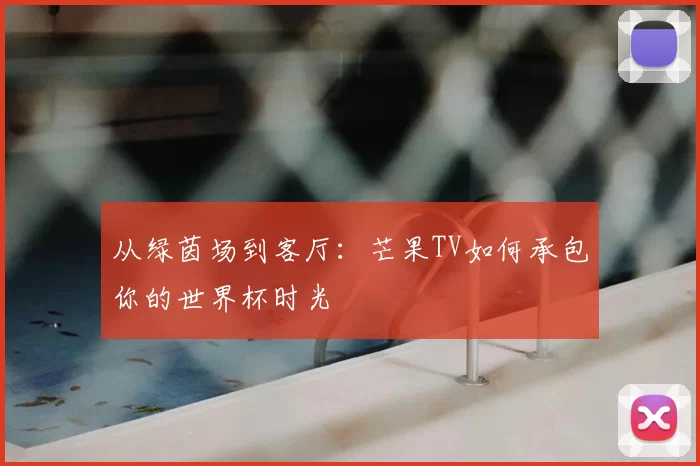 从绿茵场到客厅：芒果TV如何承包你的世界杯时光