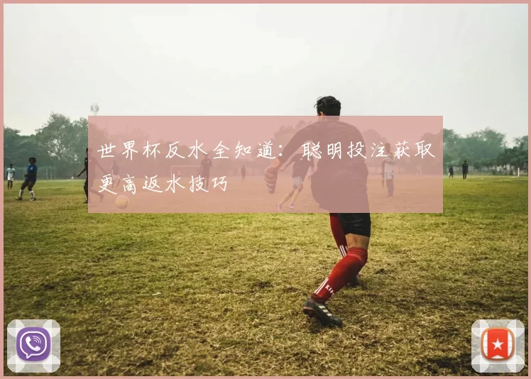 世界杯反水全知道:聪明投注获取更高返水技巧