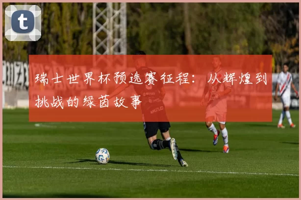 瑞士世界杯预选赛征程:从辉煌到挑战的绿茵故事